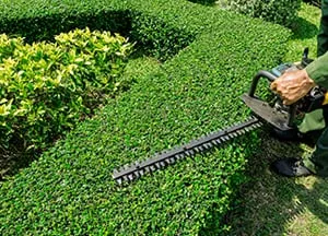 Expert garden landscaping in Goffstown, NH - Balboni's Landscape Design