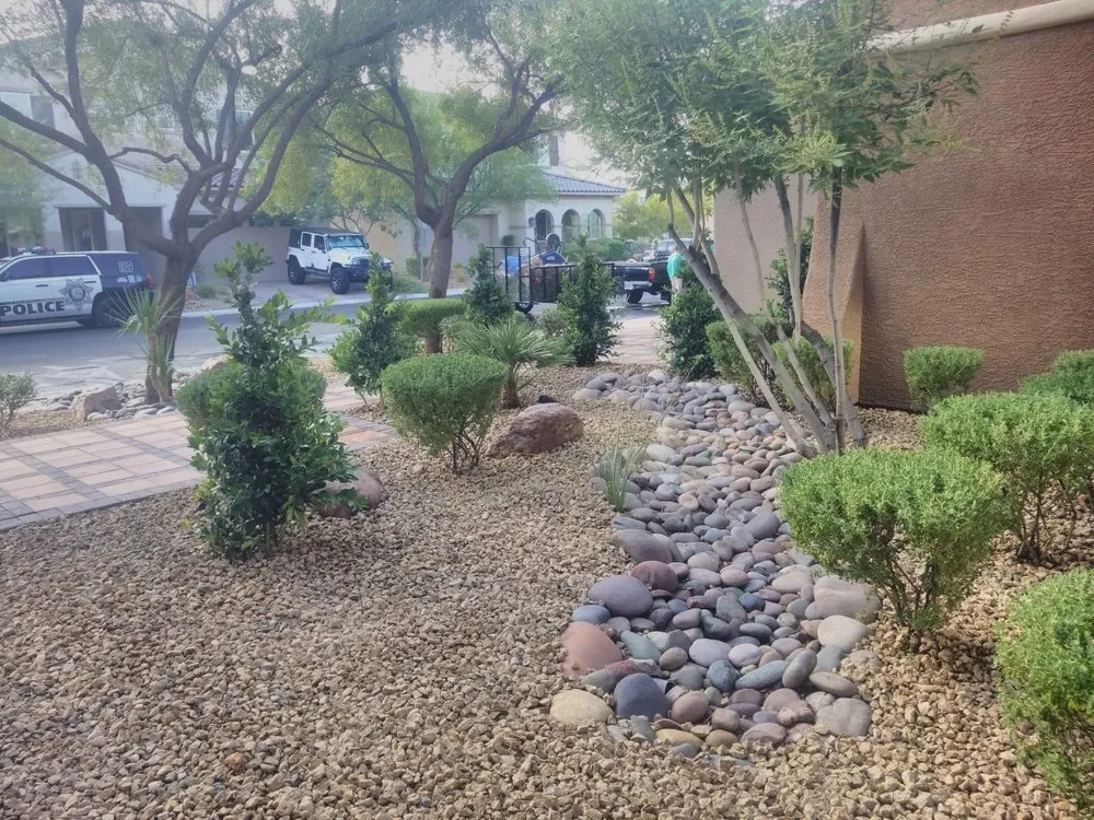 Trusted yard cleanup service for year-round maintenance across Las Vegas, NV - Balcarcel Landscaping