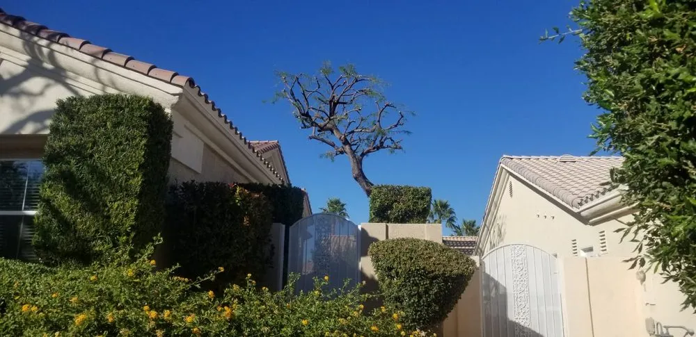 Custom lawn care service in Las Vegas, NV - Balcarcel Landscaping