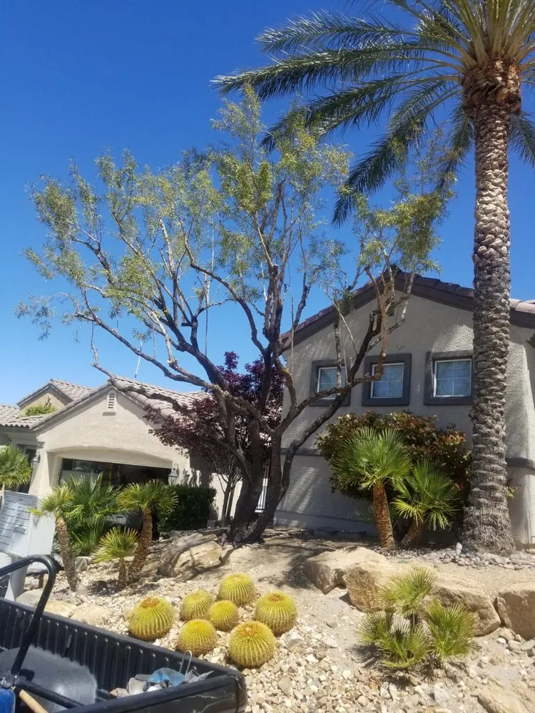 Reliable landscaping services near you in Las Vegas, NV by Balcarcel Landscaping