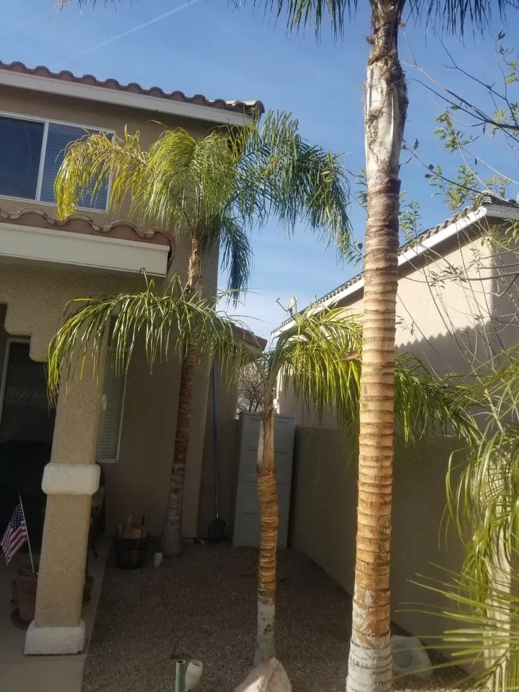 Top-rated outdoor landscaping experts serving Las Vegas, NV - Balcarcel Landscaping