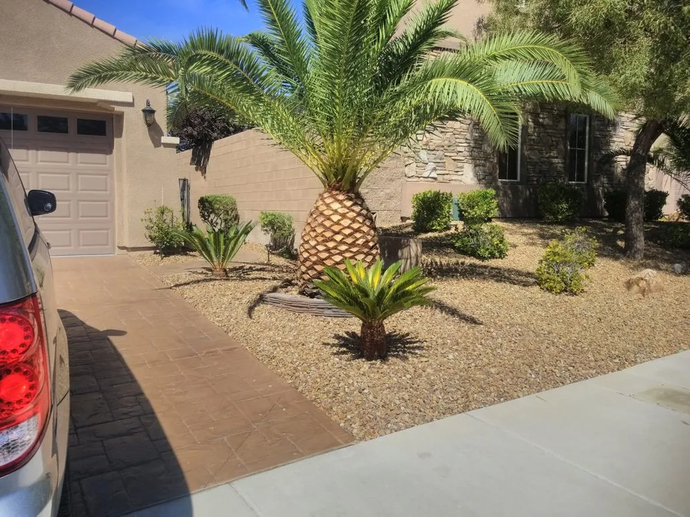 Local yard cleanup service experts serving Las Vegas, NV - Balcarcel Landscaping