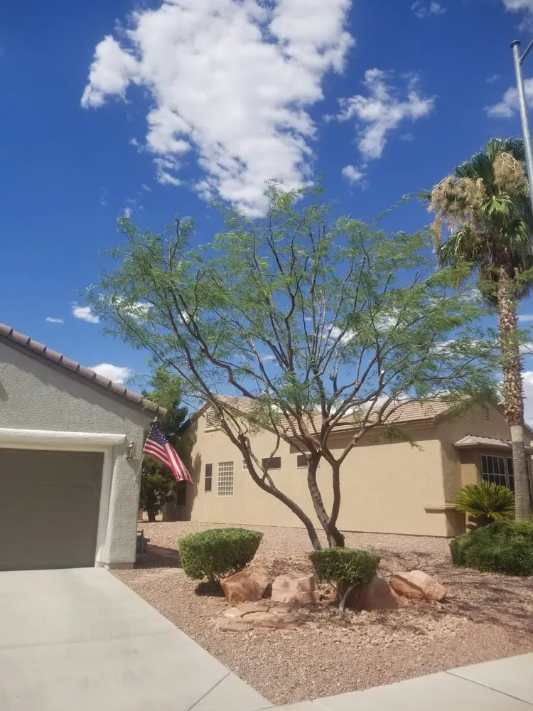 Reliable residential landscaping for beautiful yards in Las Vegas, NV by Balcarcel Landscaping