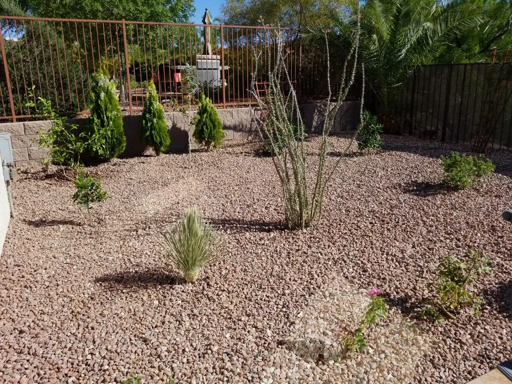 Affordable outdoor landscaping in Las Vegas, NV - Balcarcel Landscaping