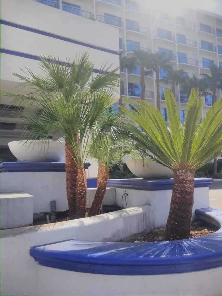 Professional landscape design for homes in Las Vegas, NV by Balcarcel Landscaping