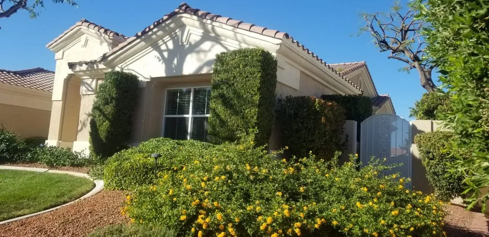 Top-rated landscape design experts serving Las Vegas, NV - Balcarcel Landscaping