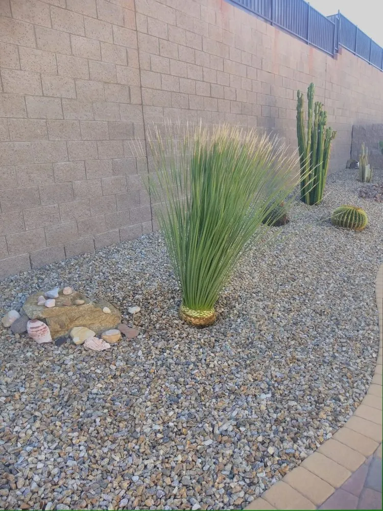 Trusted yard maintenance for homes across Las Vegas, NV - Balcarcel Landscaping