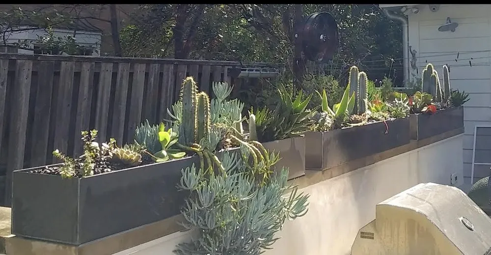 Top-rated landscaping services experts serving Austin, TX - Balch Outdoor Services