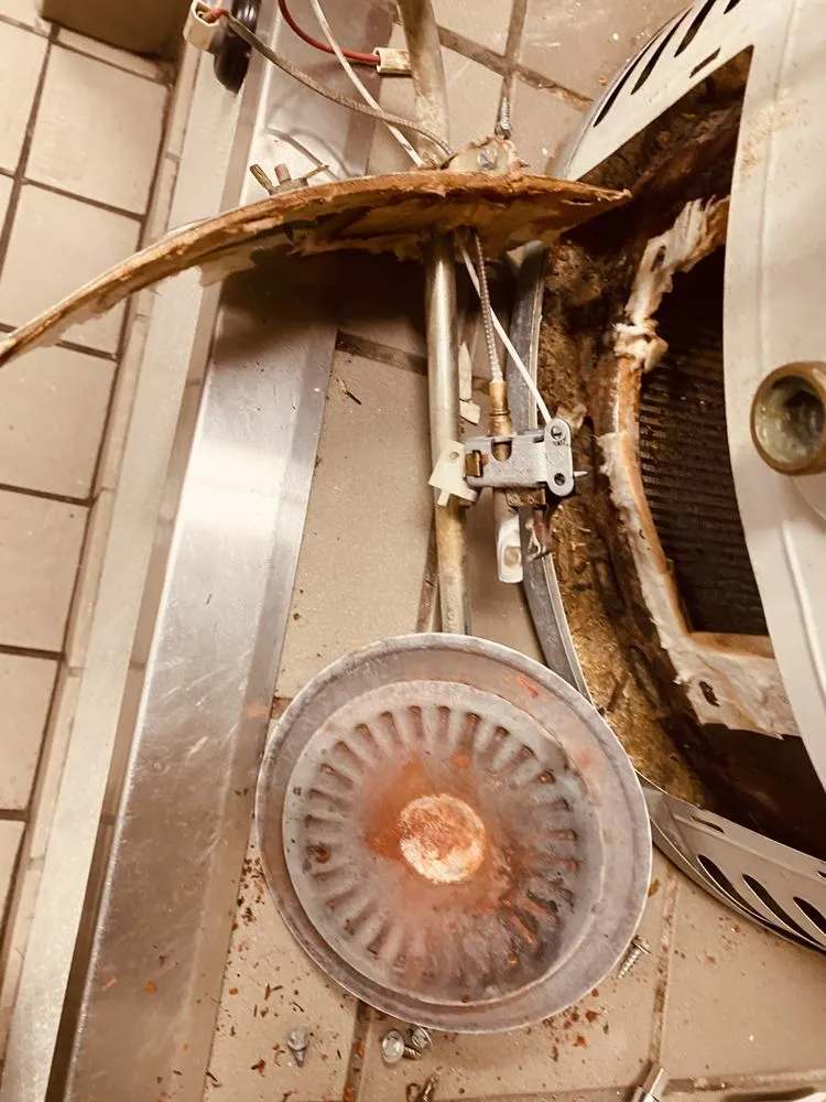 Top-rated landscape installation in Brockton, MA - Bald Eagle landscaping