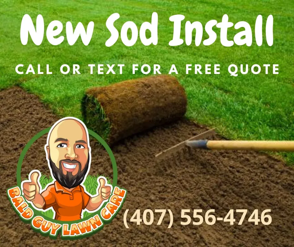 Local residential landscaping for beautiful yards across Orange City, FL - Bald Guy Lawn Care