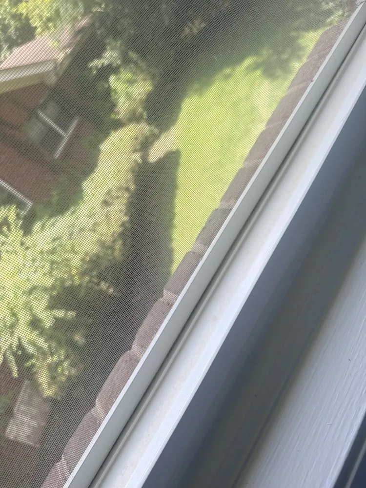 Trusted garden landscaping in Hampton, GA by Baldeh’s Cleaning and Lawn Service