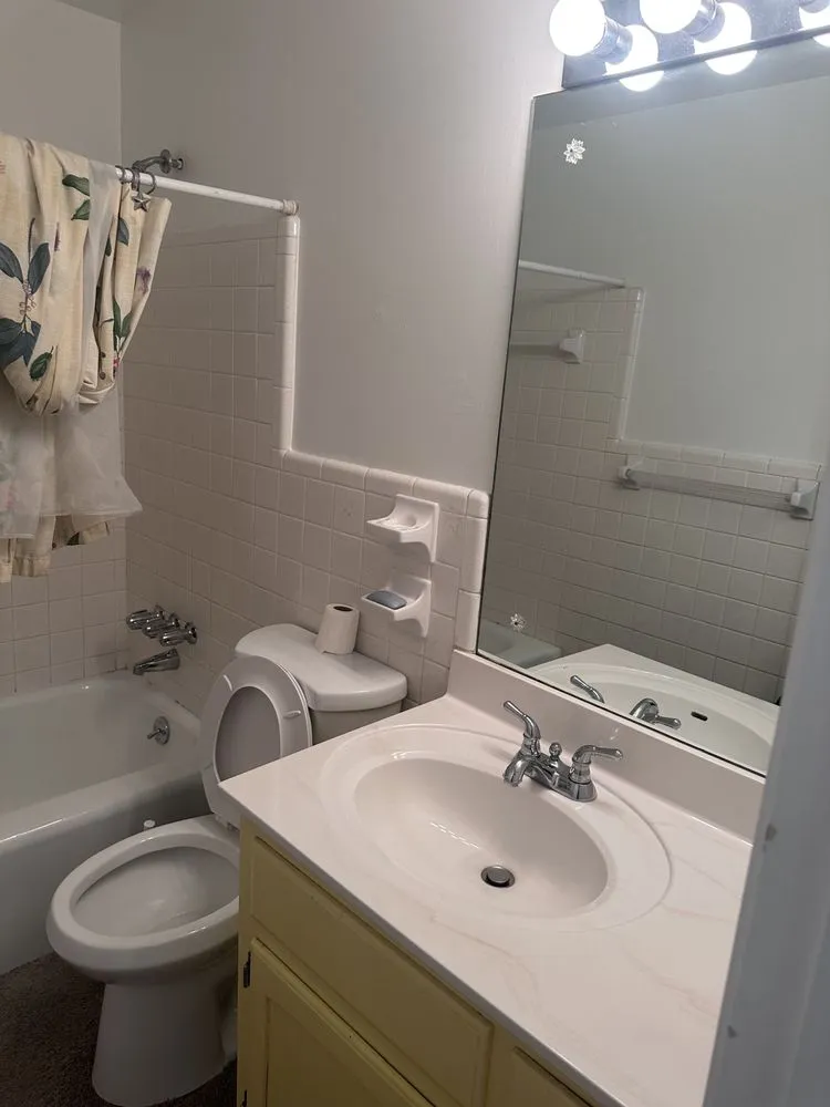 Trusted yard cleanup service near you across Hampton, GA - Baldeh’s Cleaning and Lawn Service