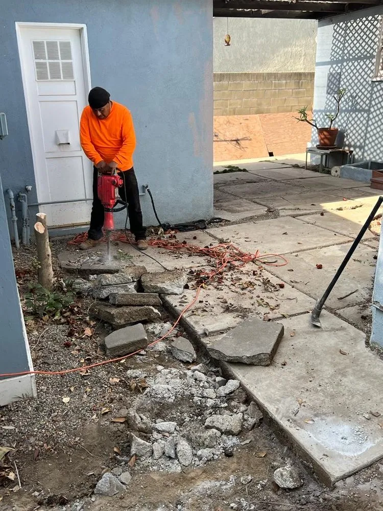 Affordable lawn care service for outdoor upgrades across San Fernando Valley, CA - Balderas Jr Tree Service