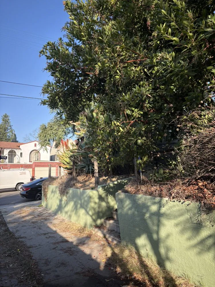 Custom lawn mowing service in San Fernando Valley, CA by Balderas Jr Tree Service