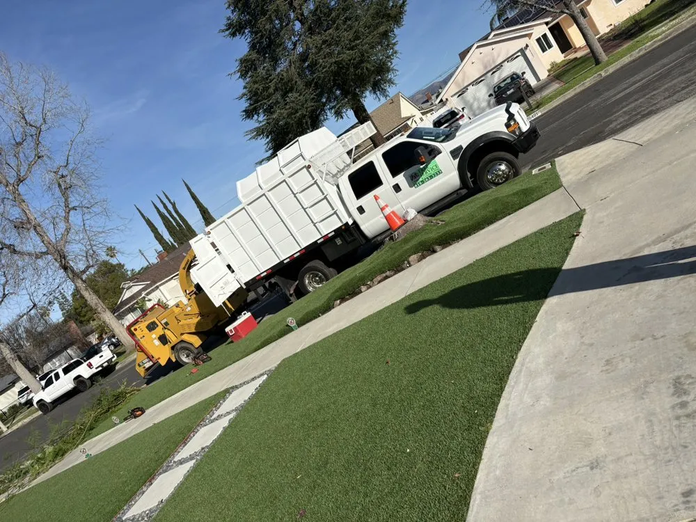 Top-rated yard maintenance for outdoor upgrades in San Fernando Valley, CA by Balderas Jr Tree Service