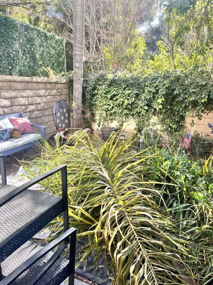 Trusted residential landscaping experts serving San Fernando Valley, CA - Balderas Jr Tree Service