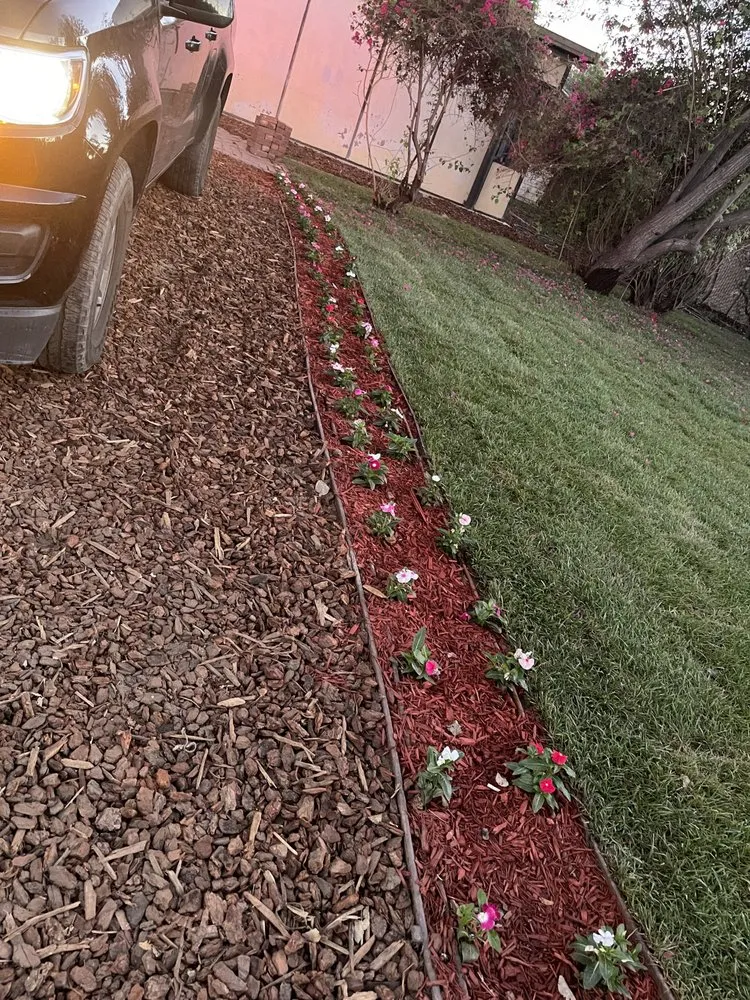 Professional lawn care service for homes across San Fernando Valley, CA - Balderas Jr Tree Service