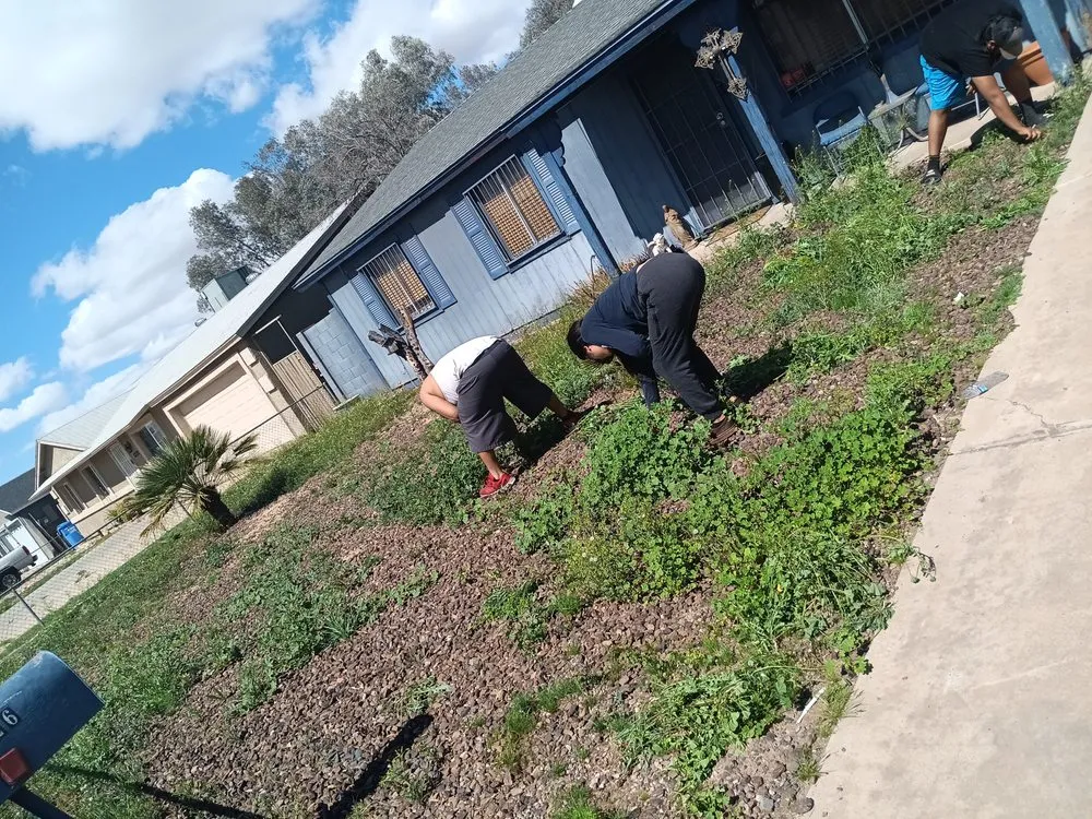 Trusted landscape installation experts serving Phoenix, AZ - Balderas Landscape