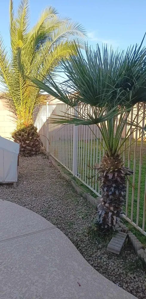 Affordable lawn mowing service for residential properties in Phoenix, AZ by Balderas Landscape