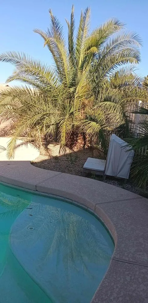 Custom lawn mowing service in Phoenix, AZ by Balderas Landscape