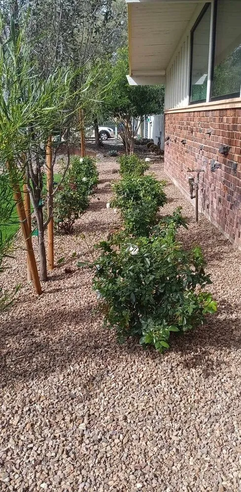 Trusted lawn mowing service in Phoenix, AZ by Balderas Landscape