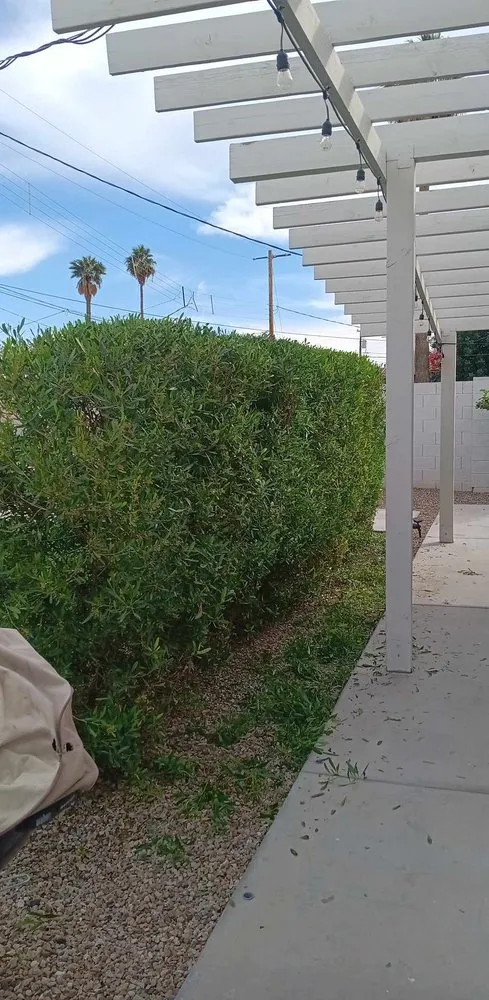 Affordable yard maintenance for outdoor upgrades across Phoenix, AZ - Balderas Landscape