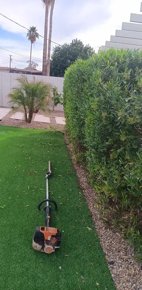 Custom garden landscaping for outdoor upgrades in Phoenix, AZ by Balderas Landscape