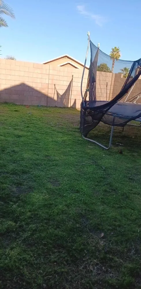 Reliable landscape design experts serving Phoenix, AZ - Balderas Landscape