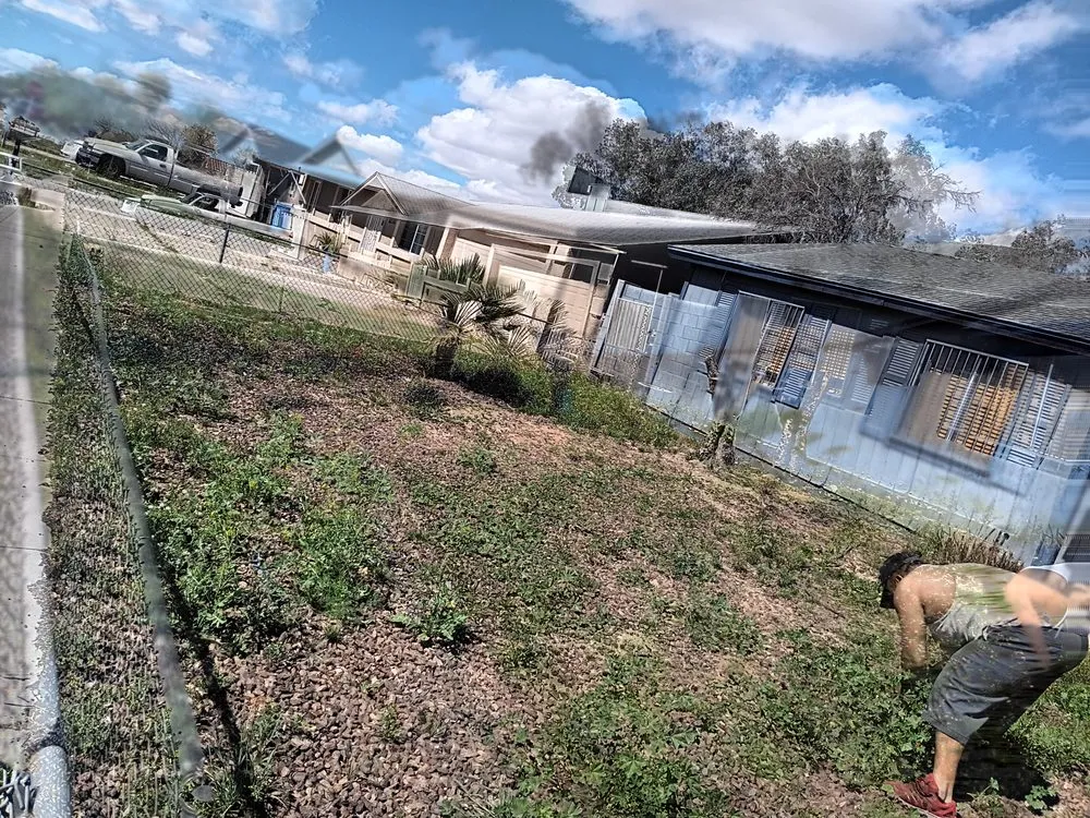 Professional landscape installation with custom design in Phoenix, AZ by Balderas Landscape