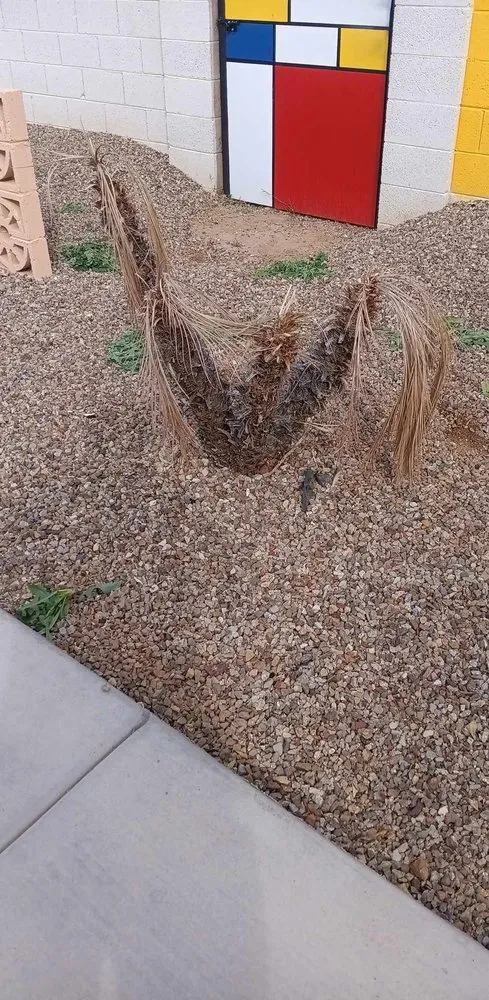 Affordable garden landscaping experts serving Phoenix, AZ - Balderas Landscape