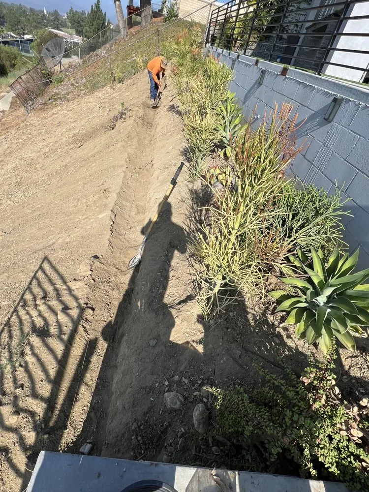 Affordable landscape installation in Panorama City, CA - Balderas Landscaping & Tree Service