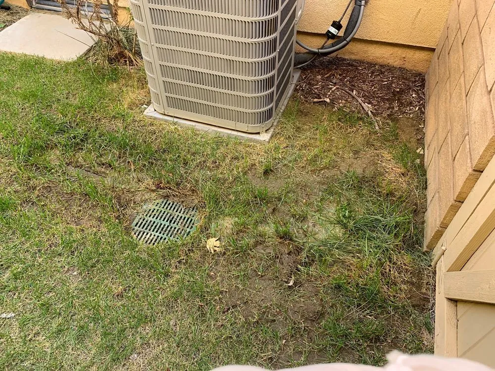 Top-rated lawn care service in Panorama City, CA by Balderas Landscaping & Tree Service