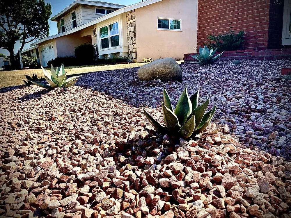 Professional residential landscaping in Panorama City, CA by Balderas Landscaping & Tree Service