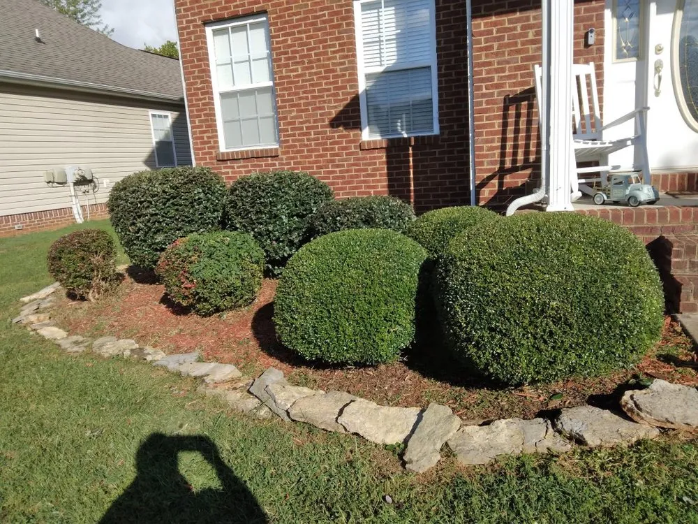 Top-rated lawn mowing service experts serving East Ridge, TN - Balderas Lawn Care & Landscaping