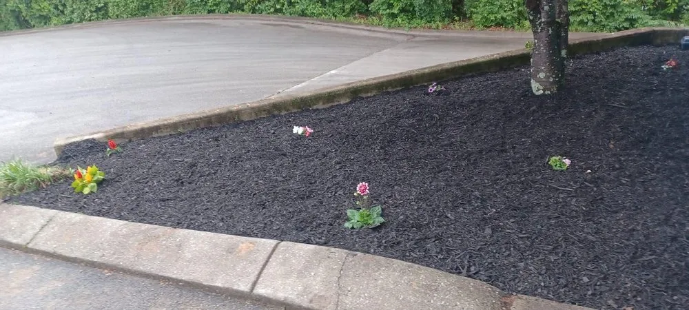 Custom landscaping services experts serving East Ridge, TN - Balderas Lawn Care & Landscaping