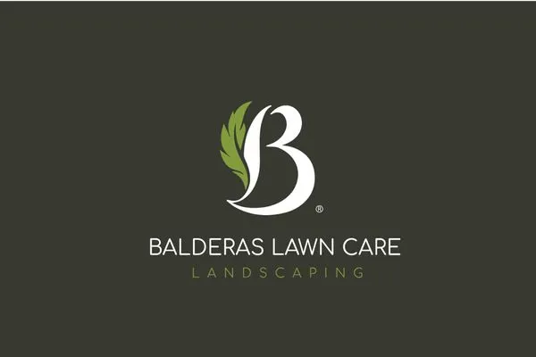 Balderas Lawn Care & Landscaping