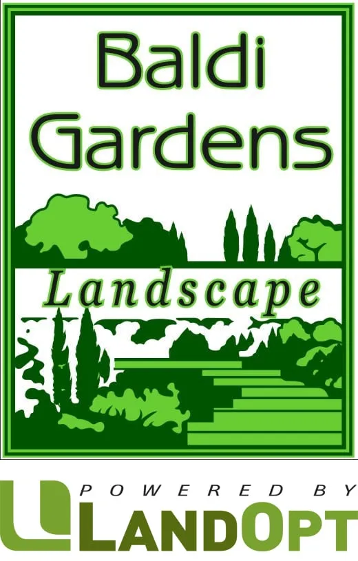 Top-rated landscaping services experts serving Arlington, TX - Baldi Gardens Inc