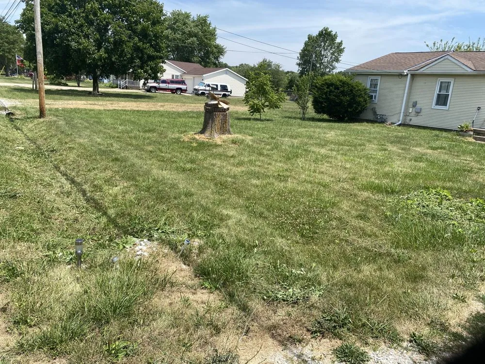 Affordable lawn care service experts serving New Castle, IN - Baldman Endeavors