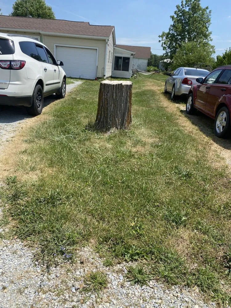 Reliable landscaping services experts serving New Castle, IN - Baldman Endeavors