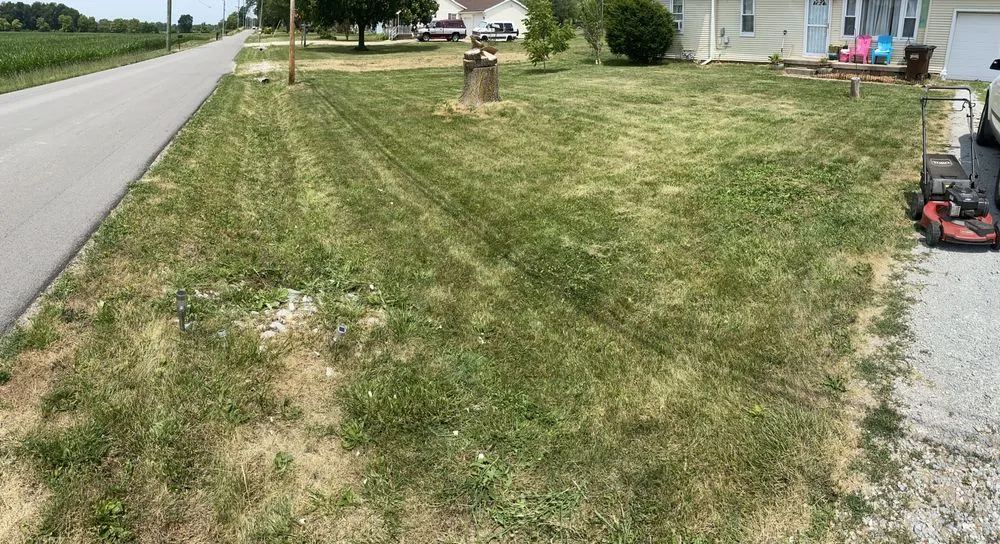 Expert outdoor landscaping in New Castle, IN by Baldman Endeavors