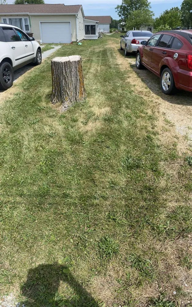 Affordable outdoor landscaping for homes in New Castle, IN by Baldman Endeavors