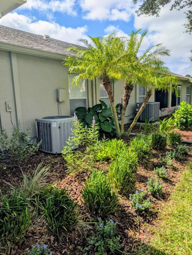 Professional yard cleanup service near you in Spring Hill, FL by Baldoni's Landscaping