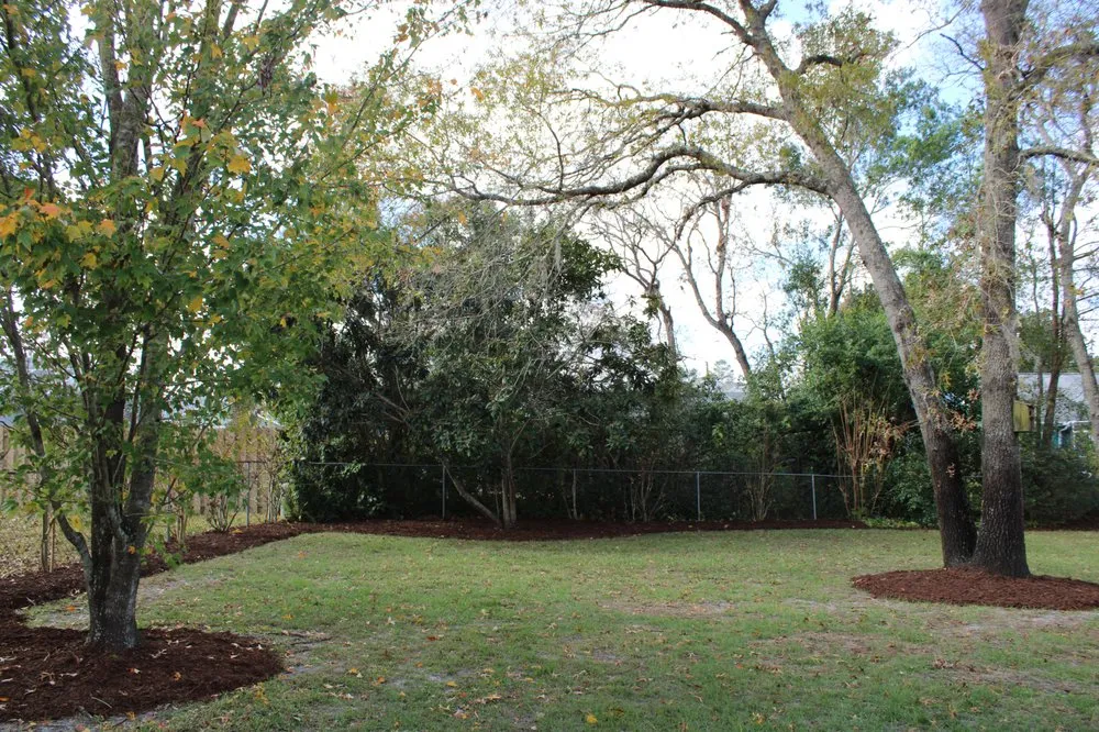 Local landscaping services for beautiful yards in Spring Hill, FL by Baldoni's Landscaping
