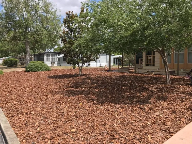 Trusted lawn mowing service experts serving Spring Hill, FL - Baldoni's Landscaping