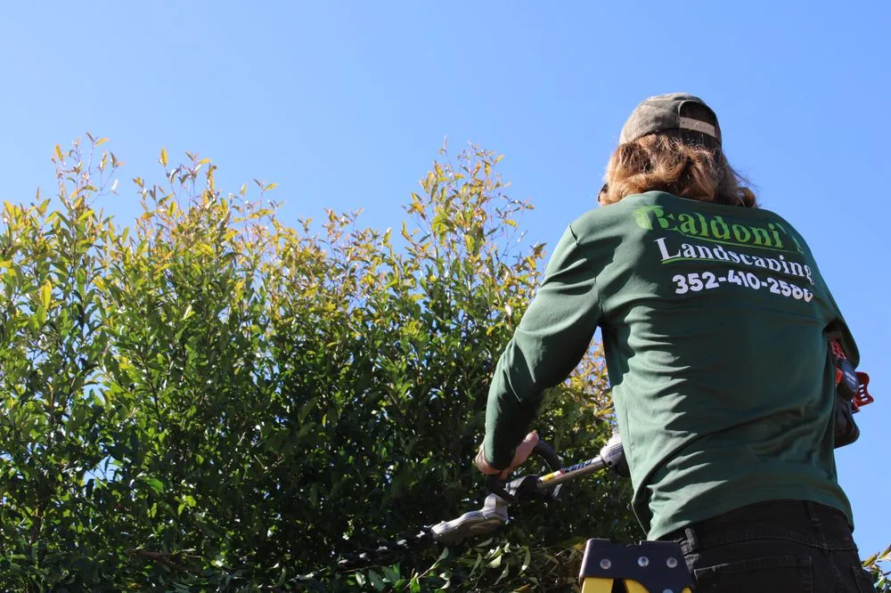 Affordable yard maintenance in Spring Hill, FL - Baldoni's Landscaping