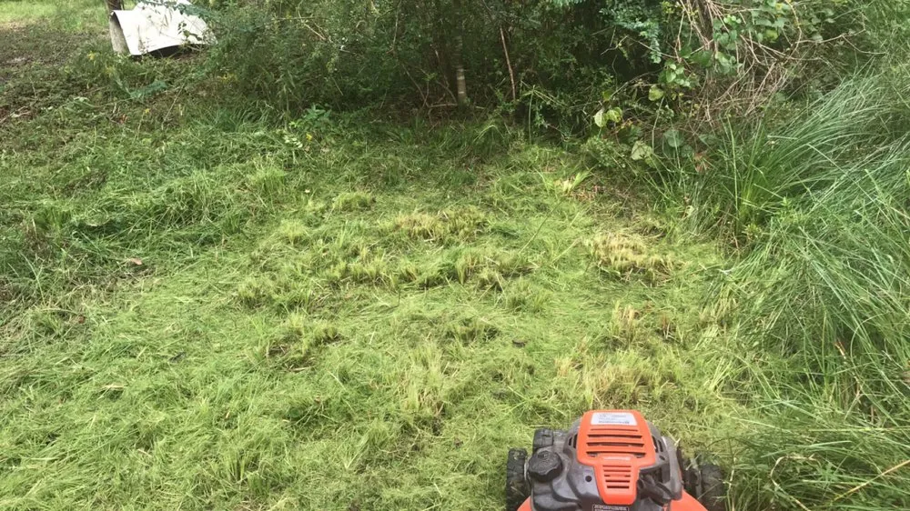 Affordable landscaping services experts serving Houston, TX - Baldwin Lawn Industry