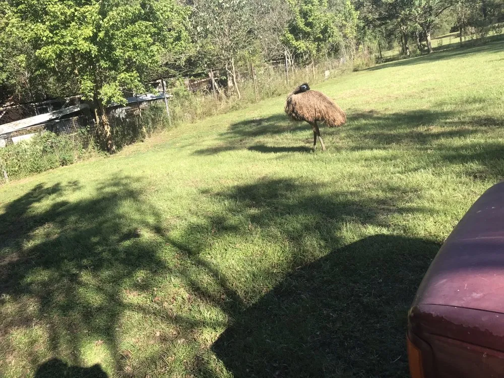 Expert landscape installation experts serving Houston, TX - Baldwin Lawn Industry