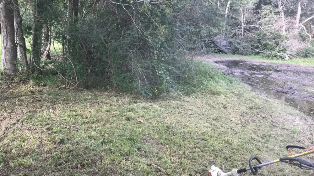 Trusted lawn care service in Houston, TX by Baldwin Lawn Industry