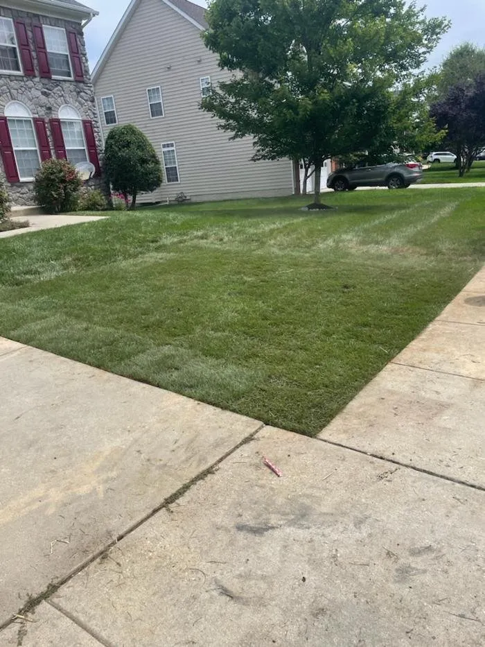 Expert lawn care service for beautiful yards across Davidsonville, MD - Baldwin Turf Solutions