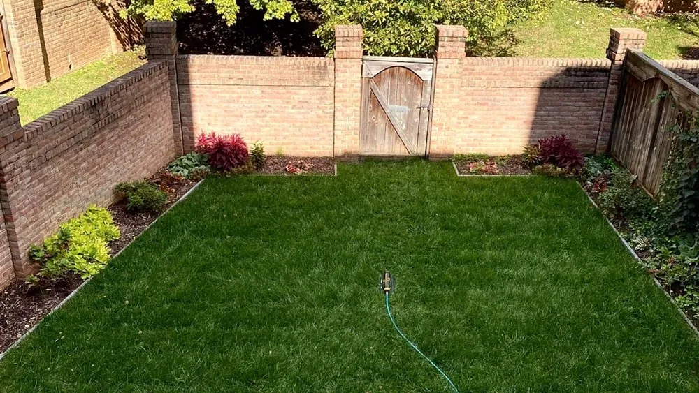 Professional yard cleanup service experts serving Davidsonville, MD - Baldwin Turf Solutions